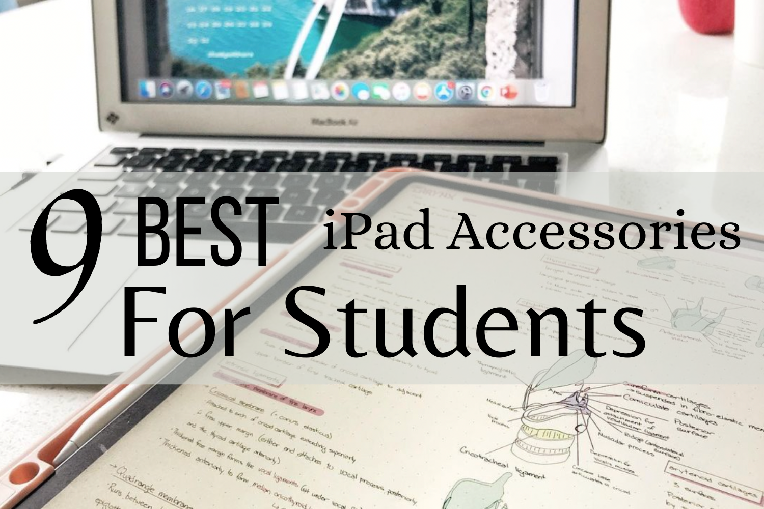 9 Best iPad Accessories For Students in 2022